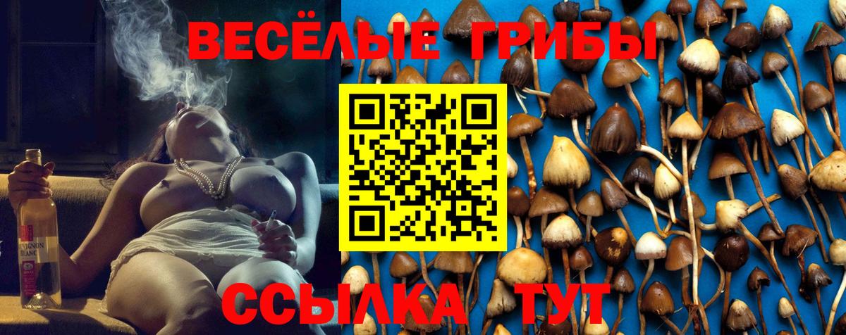 Псилоцибиновые грибы мухоморы Клинцы