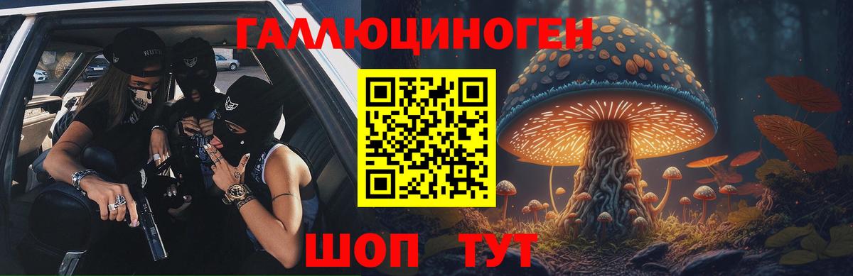 Псилоцибиновые грибы Cubensis  Вход с VPN  Клинцы 